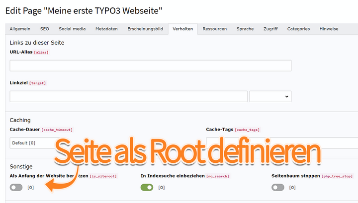 Eine TYPO3 Seite als Root definieren